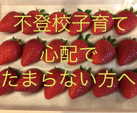 不登校･起立性調節障害･いじめ  解決策提案します 教師歴22年･我が子不登校経験有･メンタルトレーナー資格 イメージ1