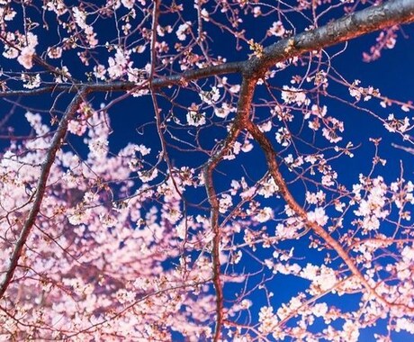 和風で味わいのある楽曲（作詞含む）を提供します 。ありきたりな楽曲に辟易した方にお薦めです。 イメージ1