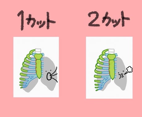 筋肉、骨、内臓のかわいいイラスト描きます とっつきやすい、わかりやすい、ゆるめの絵を探している方へ！ イメージ2