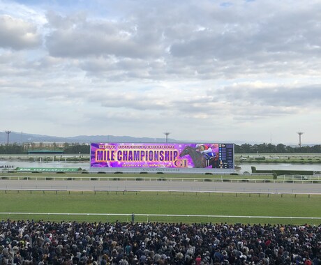 あなたの代わりに予想します 血統、適正、馬場、枠順などあらゆる面から予想します。 イメージ1