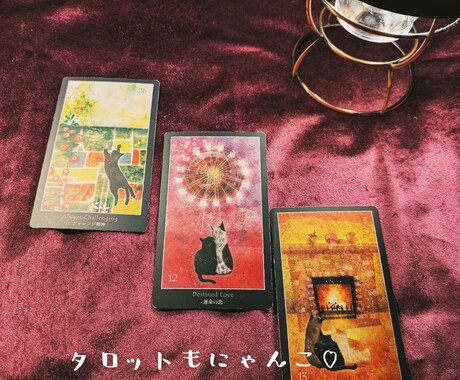 お試し・にゃんこ占いタロットであなたを癒します お試しOK！ふんわり癒す、にゃんこタロット占い イメージ2
