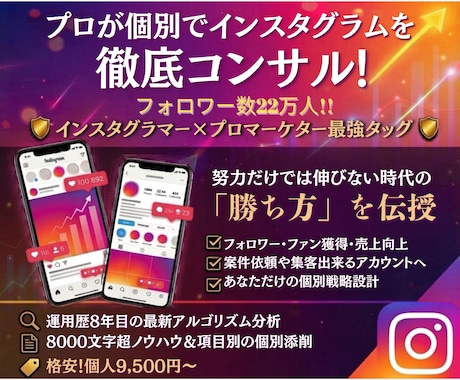 プロが個別でインスタグラムをコンサルします フォロワー22万人インスタグラマーとプロマーケターのタッグ！ イメージ1
