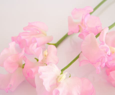心にある想い、何でもお聞きします ✽あなたのお気持ちにそっと寄り添います✽ イメージ1