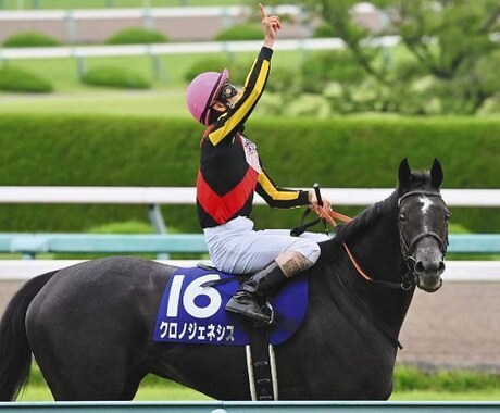 競馬予想になります 地方重賞中央厳選馬を排出していきます。 イメージ1