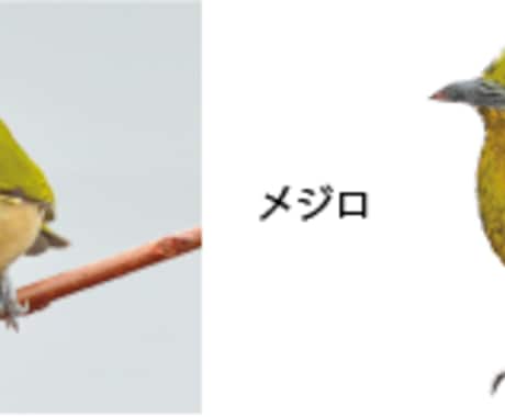 リアルタッチの動物アイコンかきます