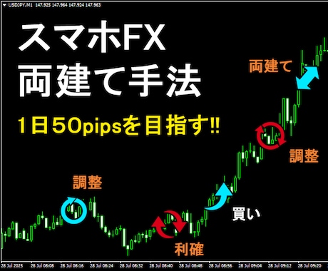 スマホをFXで活用した両建て裏技手法教えます 4年間の運用を続けた安定型のリスク制御の両建て手法 イメージ1