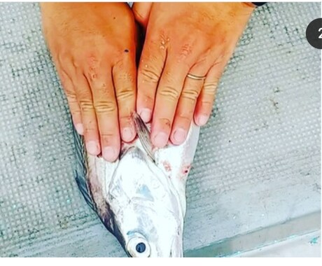 初心者の方必見!　釣り道具や釣り方教えます 予算やスタイルに合わせて相談に乗ります。 イメージ2