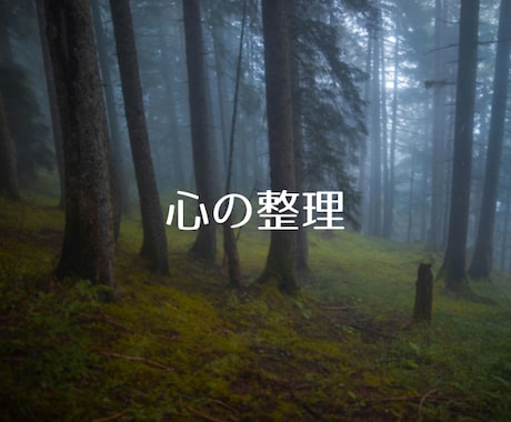 否定や評価はなし✨心の負担を軽くします 「本当はどうしたいのか」を少しずつ一緒に見つけていきましょう イメージ1