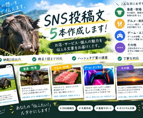 SNS投稿文を5本作成します イメージ1