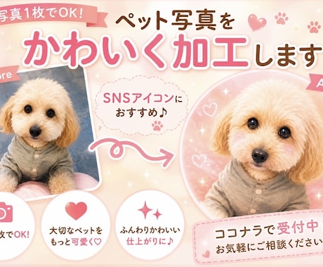 ペットの写真を可愛くSNSアイコン用に加工します 大切なペットの思い出を可愛く加工します イメージ1