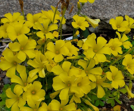 お悩みを一人で抱えられない人に寄り添います ●あなたのこと●今日もお待ちしています● イメージ1