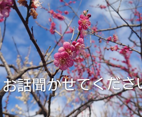 貴方のお話お聞きします 心の悩みや不安など話してみませんか？友達には話せないことも○ イメージ1