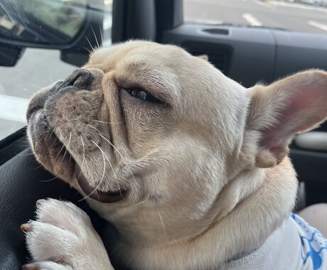 どんな相談でも、愚痴でも、聞きます 仕事、恋愛、、育児、人生、どんな相談、愚痴きかさてください イメージ1