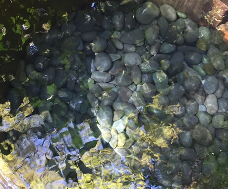 お試し価格⭐︎元気になるアドバイスします 一寸先はひかり　元気になる場所　食生活　お伝えします イメージ1