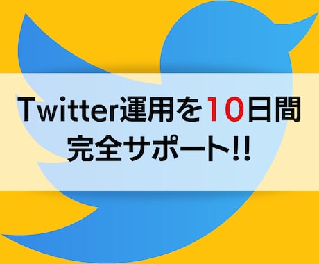 10日間Twitter運用をサポートします 本気で1000フォロワー目指す方必見です！ イメージ1