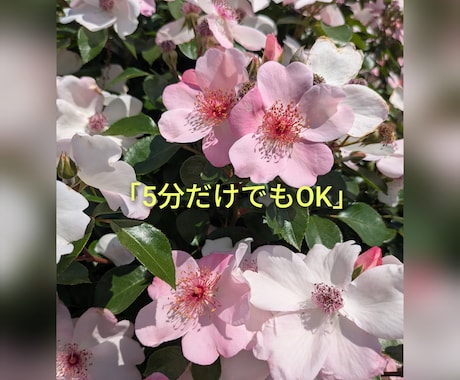 1人で抱え込んでいるお気持ちに寄り添います 子育て・不登校のお悩み。1人で抱えずお話ししませんか イメージ2