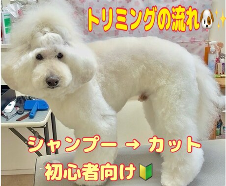 初心者向け トリミングの流れが分かる動画になります 初心者さまも安心！見るだけトリミング動画 イメージ1