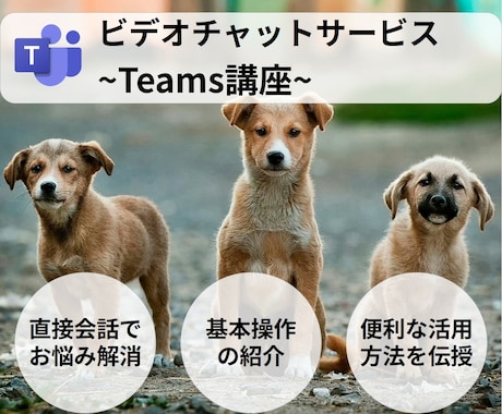 早朝限定☀︎Teamsの使い方を説明します 「基本的なことから実践的なことまで直接相談可能です！」 イメージ1
