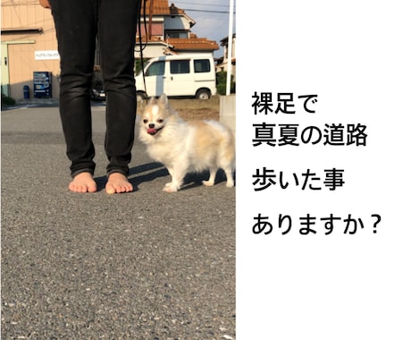 わんちゃんに寄り添ったしつけ方法教えます わんちゃんとより良い生活を過ごすお手伝い言葉を超えた架け橋に イメージ1