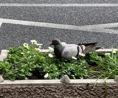 1日お悩み相談受付してます どんな些細な事でもご相談ください。 イメージ1
