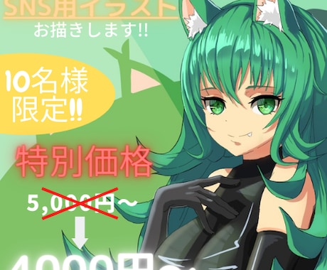あなただけのアイコン・イラストお描きします Twitter/Instaなど、フォロワー増やしたい方へ◎ イメージ1