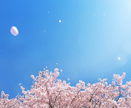 離婚、発達障害、介護、終末期でのお悩み相談ます 発達障害児を持つ元緩和ケア病棟介護士によるお悩み相談 イメージ1