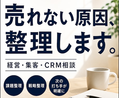 顧客理解から販促までマーケティング戦略を整理します 売れない原因を一緒に整理します イメージ1