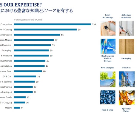 海外進出する際のコンサルティングを致します 化学工業における海外市場調査や新規開拓案件 イメージ1