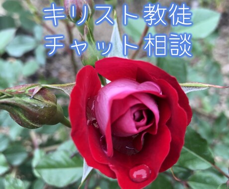 キリスト教、チャット(文章)で相談できます 電話では難しいお方に対してサービスを始めました イメージ1