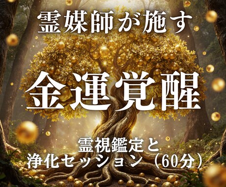 霊視鑑定と60分浄化施術を行います 停滞を断ち切り、収入と幸運を引き寄せる金運覚醒浄化セッション イメージ1