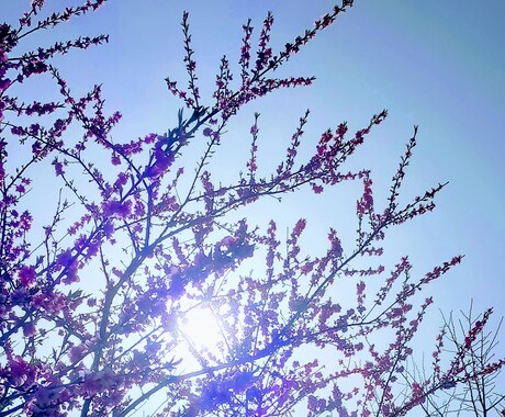 お相手様があなた様を好きになった瞬間を鑑定します 【お相手様の状況と、あなた様を好きになった理由など】 イメージ1