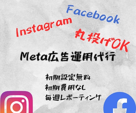 Meta広告（FB・IG）の運用を代行いたします 丸投げOK！Instagram・Facebookの広告代行 イメージ1