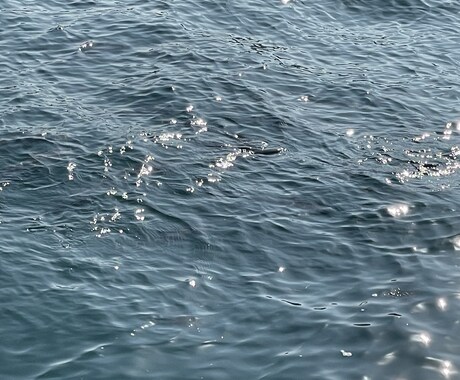 長崎佐賀福岡方面の一部の場所の釣れる魚を教えます イメージ1