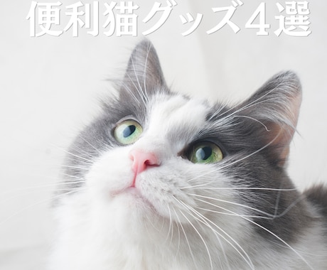 Instagramの投稿・図解画像を制作します 世界観に合わせた大人可愛い・オシャレなデザインをお届けします イメージ2