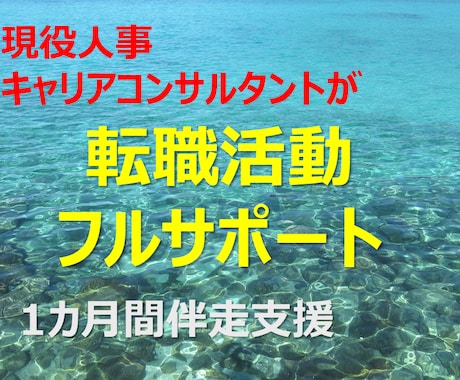 現役人事が1カ月間転職活動をフルサポートします 応募先～書類～面接～入社判断を面談と無制限チャットで伴走支援 イメージ1