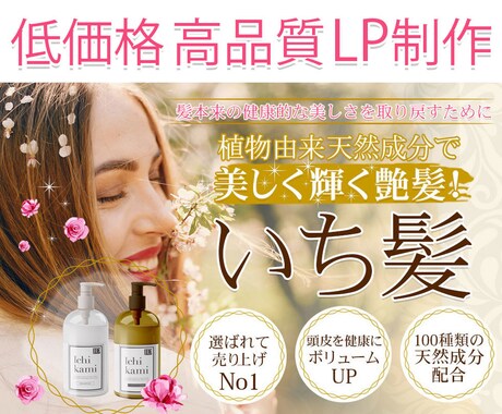 高品質、低価格【LP】制作します 思わず反応する！低価格で本格的なLPをデザインします イメージ1