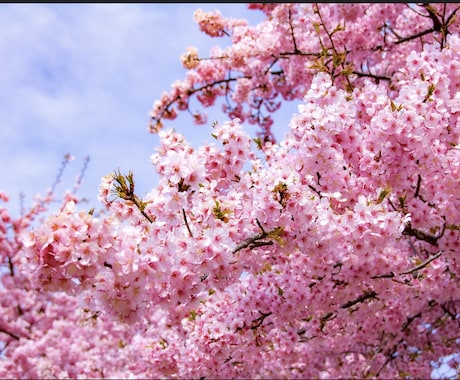 パワハラモラハラにあわれている方などのお話聞きます 現在、職場で理不尽で不当な扱いを受けている方、お話聞きます。 イメージ1