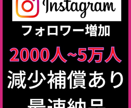 2000人Instagramフォロワー増加します インスタグラムフォロワー宣伝します！フォロワー増加確実！ イメージ2