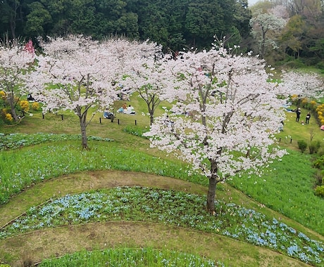 何でも話して下さい愚痴でも聞きます 辛いこと、嫌な事があった日ストレスためずに話して下さい。 イメージ1