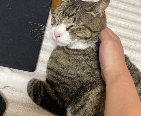 楽しむことを大切にできるようにします 辛い、何していいのか分からない、まずは話してください。 イメージ1