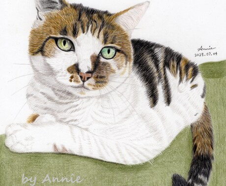 リピーター様用・90分で色鉛筆画の描き方を教えます 現役アーティストが教える色鉛筆画レッスンです。 イメージ1