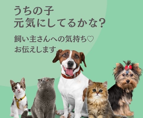 24時間以内に亡くなったペットの気持ちを霊視します 大切なあの子との“心の対話”をお届けします。 イメージ1