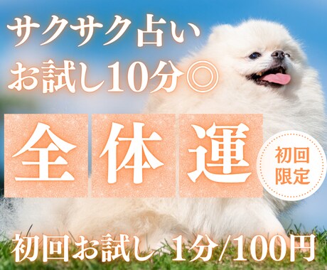 10分でサクサク、全体運を占います 【4月末まで♡1分200円→100円初回限定】短時間OK♡ イメージ1