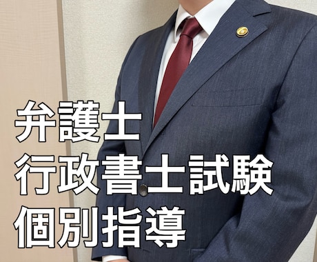 弁護士が行政書士試験の個別指導をします 行政書士試験合格経験のある現役弁護士が丁寧に個別指導！ イメージ1