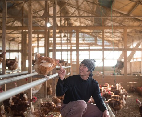 平飼い養鶏のご相談にのります プロの養鶏家がお答えます!飼い方、産卵箱、平飼い養鶏開業 イメージ2