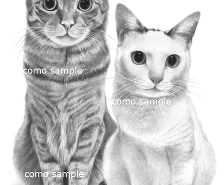 ハイクオリティなペット似顔絵を、鉛筆で手描きします ♪精密描写＊記念プレゼント＊インテリアアート＊アイコンなどに イメージ2