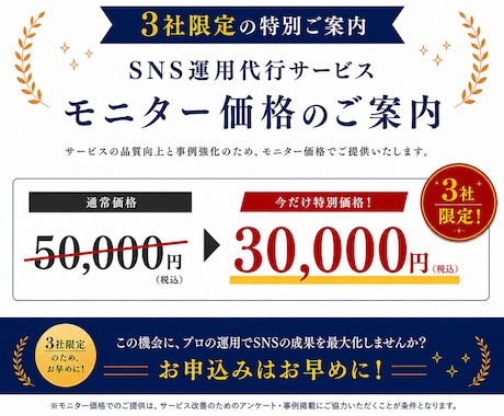 丸投げOK！売上につながるSNS運用します 戦略設計から分析・改善までまるっとサポートします イメージ2