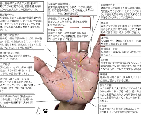 4,000円で隅々まで手相をみます ボリュームたっぷりの画像解説付きです。 イメージ1