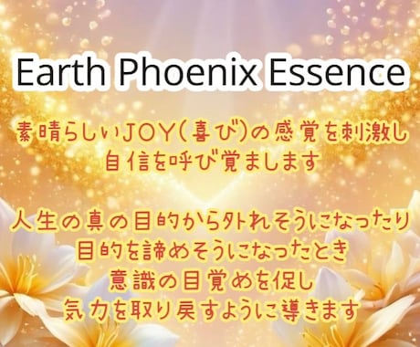 ポジティブに自分をコントロール♪パワー伝授します アースフェニックスエッセンスのアチューメント♡ イメージ1