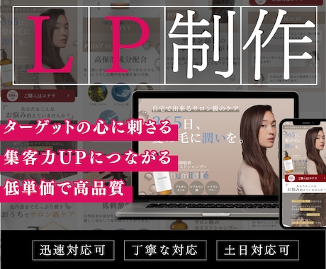 ターゲットの心にしっかり刺さるLPを制作します 集客UPにつながるLPを低価格で制作します イメージ1